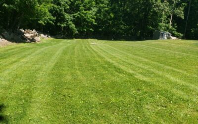 Weed Control & Lawn Fertilization Treatments in Newtown, CT