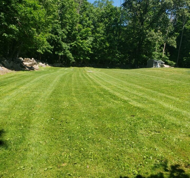 A healthy, vibrant lawn starts with proper nutrition and effective weed management. Roly's Landscaping provides professional weed control and lawn fertilization treatment services in Newtown, CT,
