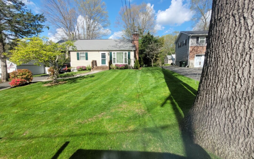 Fall Yard Cleanup & Leaf & Yard Debris Removal Services in Redding, CT