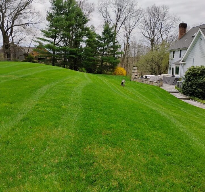Residential Lawn Care & Yard Maintenance Contractors | Newtown, CT