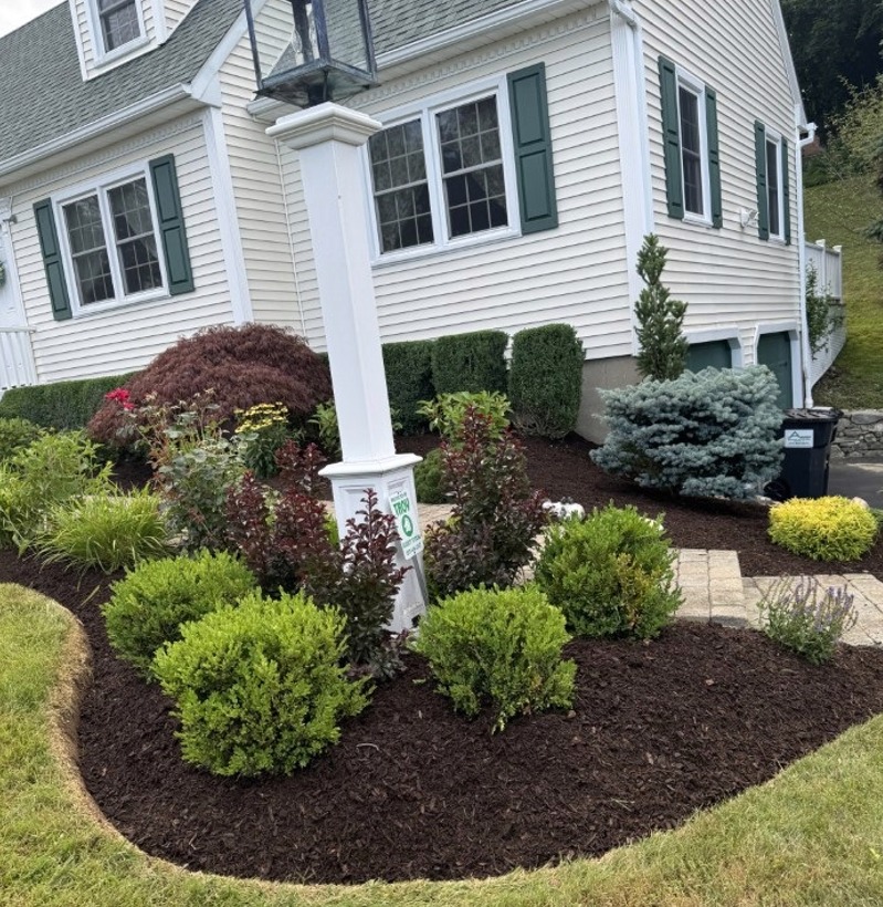 Tree and Shrub Planting Services | Landscape Contractors | Newtown, CT