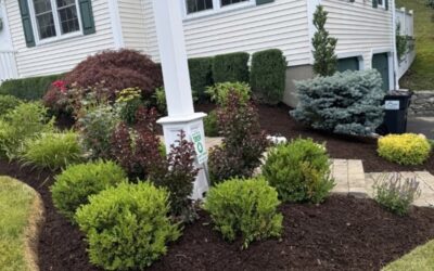 Locate the Best Landscape Contractor Near Me in Newtown, CT