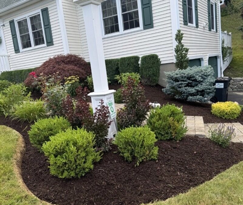 Locate the Best Landscape Contractor Near Me in Newtown, CT
