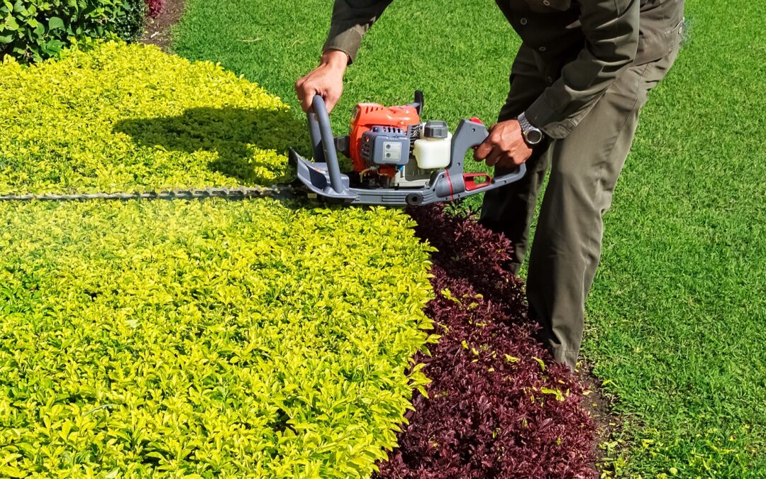 Best Tree & Shrub Pruning Services in Newtown, CT