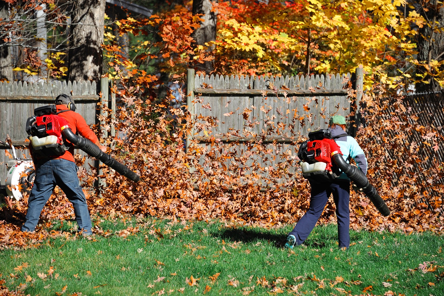 Fall and Spring Seasonal Landscape Cleanup Services in Bethel, CT