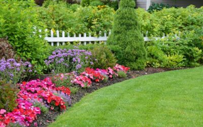 Tree & Shrub Landscape Planting Services in Brookfield, CT