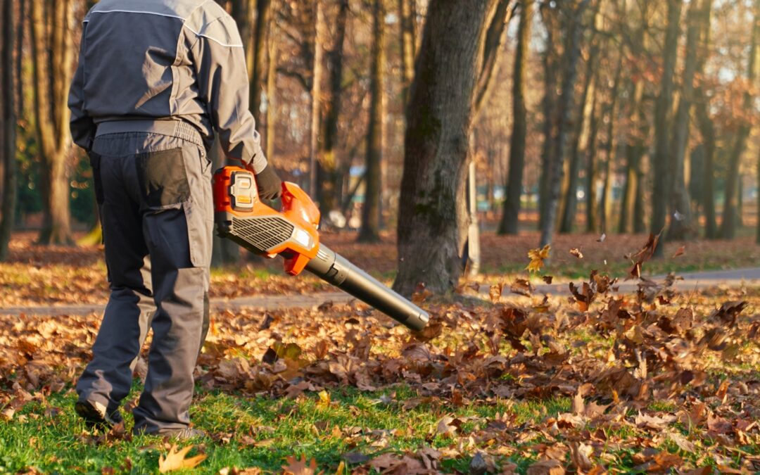 Fall Yard Cleanup & Leaf and Yard Debris Removal in Southbury, CT
