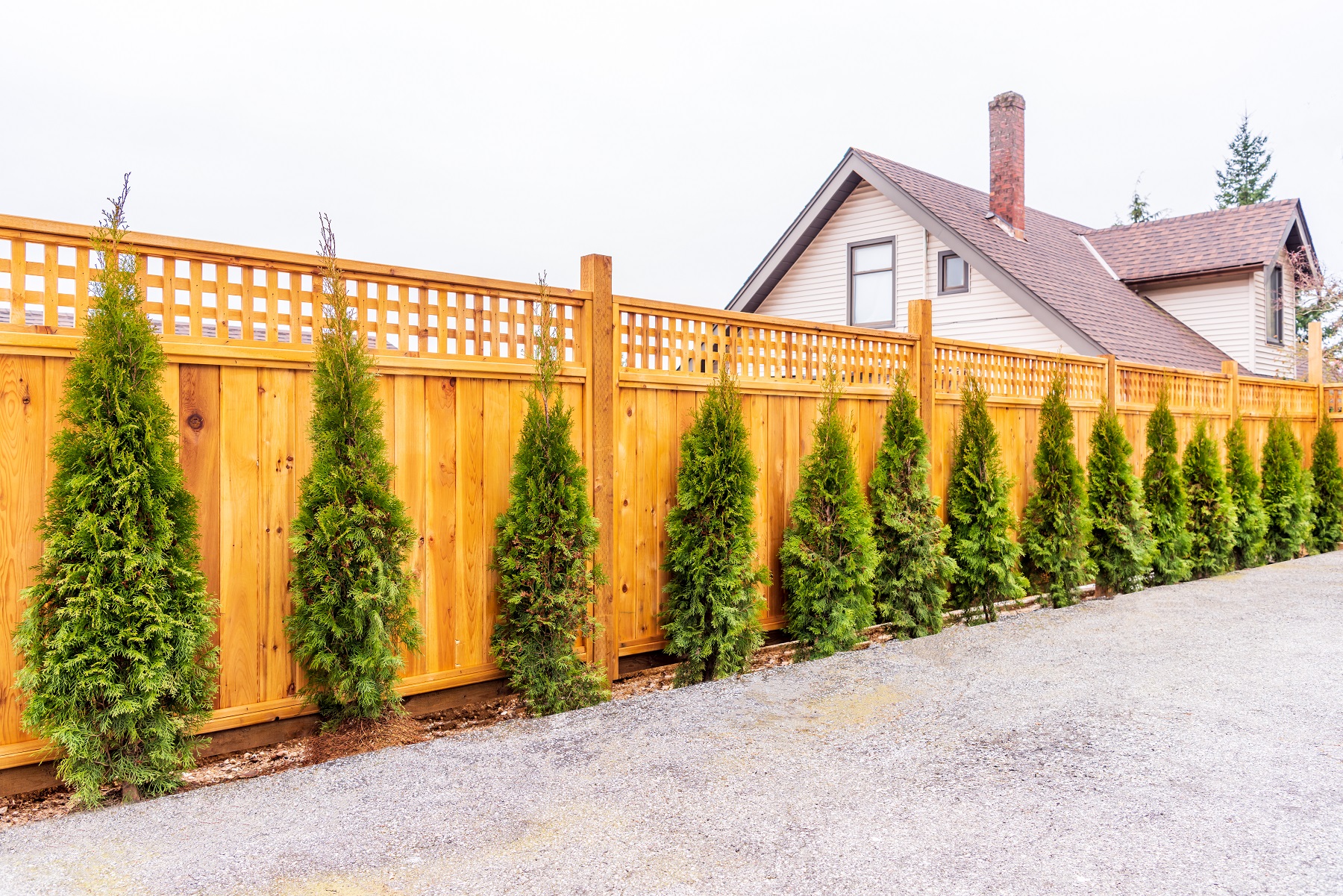 Tree and Shrub Landscape Planting Services in Southbury, CT