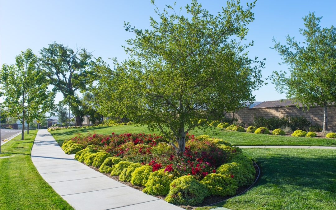 HOA & Condominium Landscape Maintenance Contactors in Newtown, CT