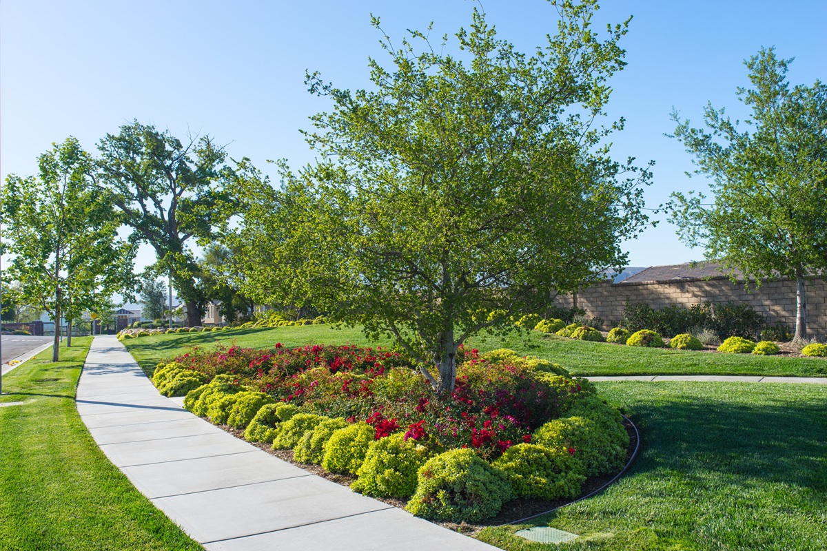 HOA & Condominium Landscape Maintenance Contactors in Newtown, CT
